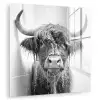 Schotse Hooglander - Dier - Douche - Humor plexiglas 5mm klein -zzzproduct_nieuw