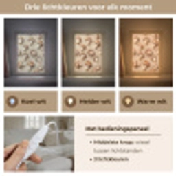 Kastanje Champignons - Beige Light Box met kabel (Tafellamp) klein -USP_lichtkleurNL