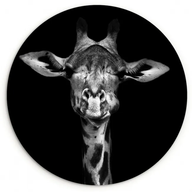 Giraffe - Portret - Dieren - Zwart - Wit Wandcirkel kunststof plaat 5mm dik klein -3d