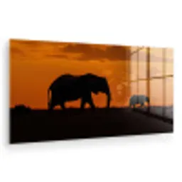 Olifanten - Savanne - Zonsondergang plexiglas 5mm klein -zzzproduct_nieuw