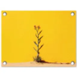 Zand - Plant - Geel - Minimalitisch tuinposter los doek klein -3d