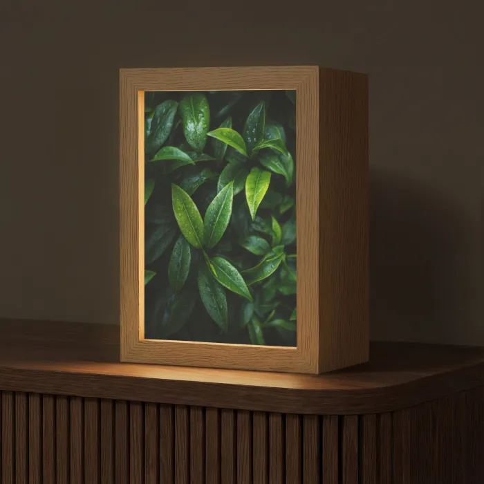Bladeren - Regendruppels - Licht - Groen Light Box met kabel (Tafellamp) klein -z3d_website