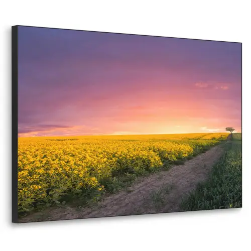 Bloemen - Weg - Lucht - Geel - Paars - Zonsondergang - Natuur Textielframe zwart klein -3d