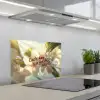 Bloesems - Zonlicht - Quote - Wit keuken achterwand spatscherm klein -3d_schuin