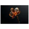 Orchidee - Doorzichtig - Bloem poster papier klein -3d