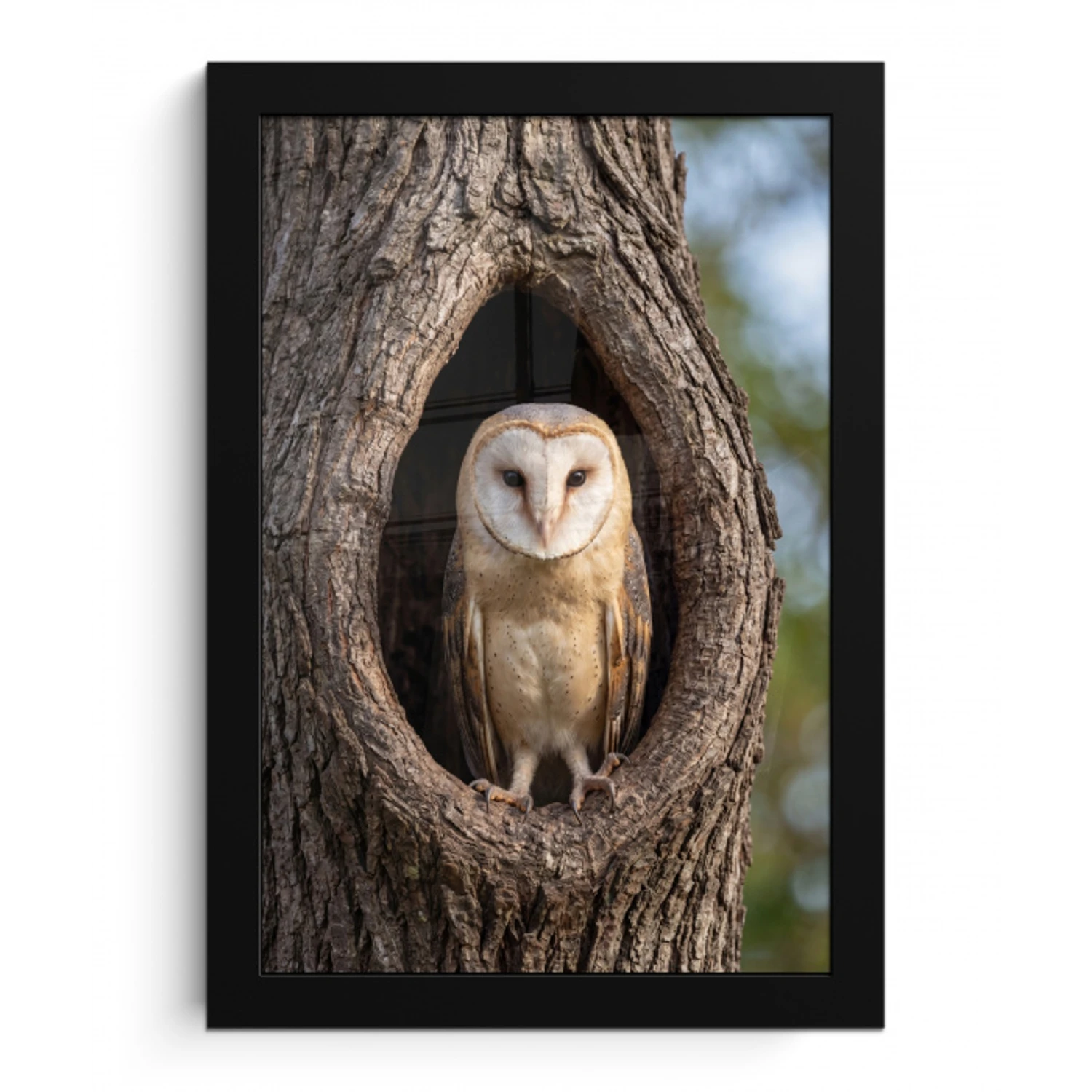 Kerkuil - Boom - Natuur - Bruin fotolijst zwart zonder passe partout klein -3d