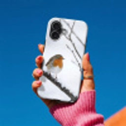 Roodborstje - Tak - Sneeuw - Winter - Levendig Toughcase MagSafe Apple iPhone 17 klein -Sfeer1V