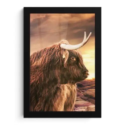 Schotse hooglander - Zon - Horizon - Koe - Dieren fotolijst zwart zonder passe partout klein -3d