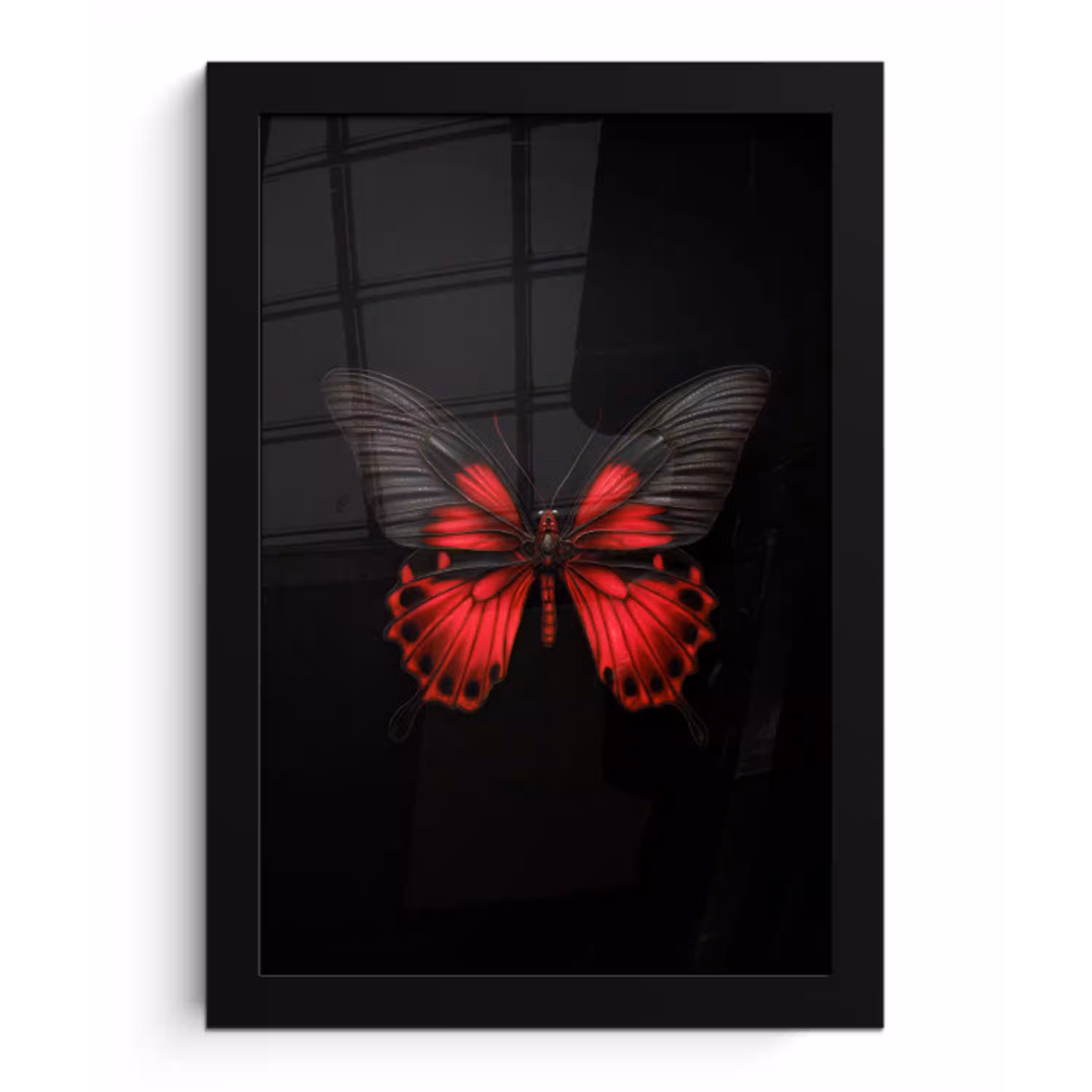 Vlinder - Rood - Contrast fotolijst zwart zonder passe partout klein -3d