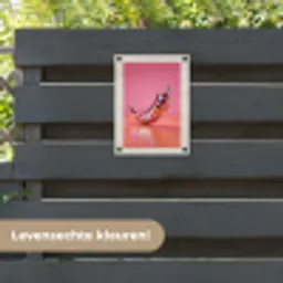 Disco - Peper - Roze tuinposter los doek klein -sfeer3