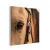 Paard - Oog - Bruin aluminium wit klein -3d
