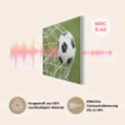Voetbal - Goal - Net - Sport PET vilt klein -USP_DE