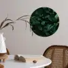 Bladeren - Ovaal - Groen - Nerven Wandcirkel behangsticker klein -sfeer3