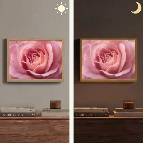Roze - Roos - Romantisch Light Box met batterij (Wandlamp) middel -sfeer3