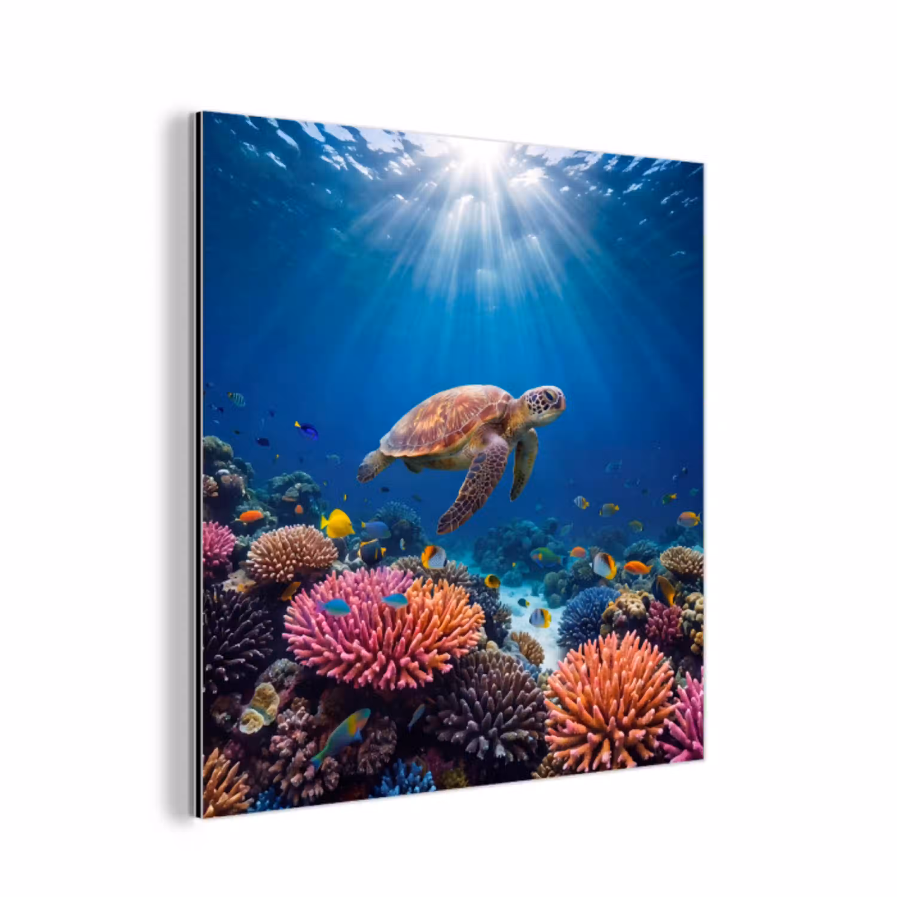 Schildpad - Koraalrif - Oceaan - Dieren - Blauw aluminium wit klein -3d