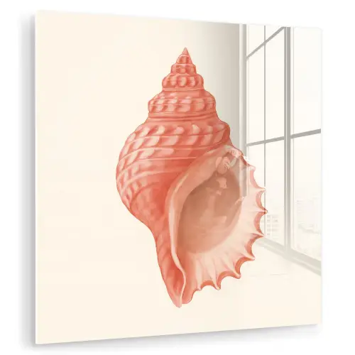 Schelp - Roze - Structuur plexiglas 5mm klein -zzzproduct_nieuw