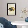Vis - Sierlijk - Vinnen - Illustratie fotolijst zwart zonder passe partout klein -sfeer4