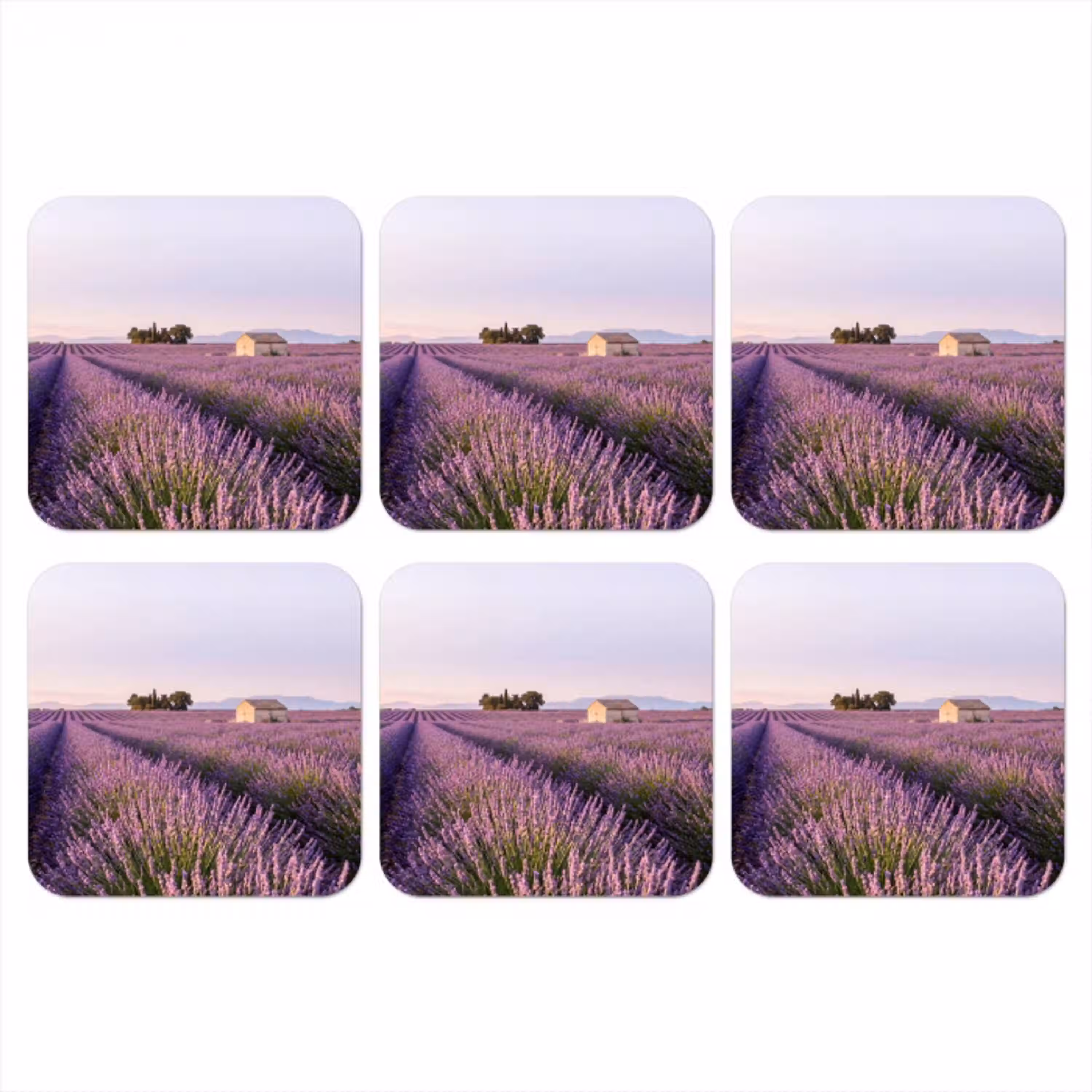 Lavendel - Landschap - Sereen - Paars onderzetter kurk middel -3d