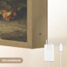 Fruit - Stilleven met druiven - Oude meesters Light Box met batterij (Wandlamp) middel -USP_websiteoplaadbaarNL