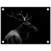 Hert - Zwart - Portret - Gewei - Dieren tuinposter los doek klein -3d