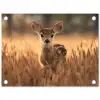 Hert - Graanveld - Bruin tuinposter los doek klein -3d