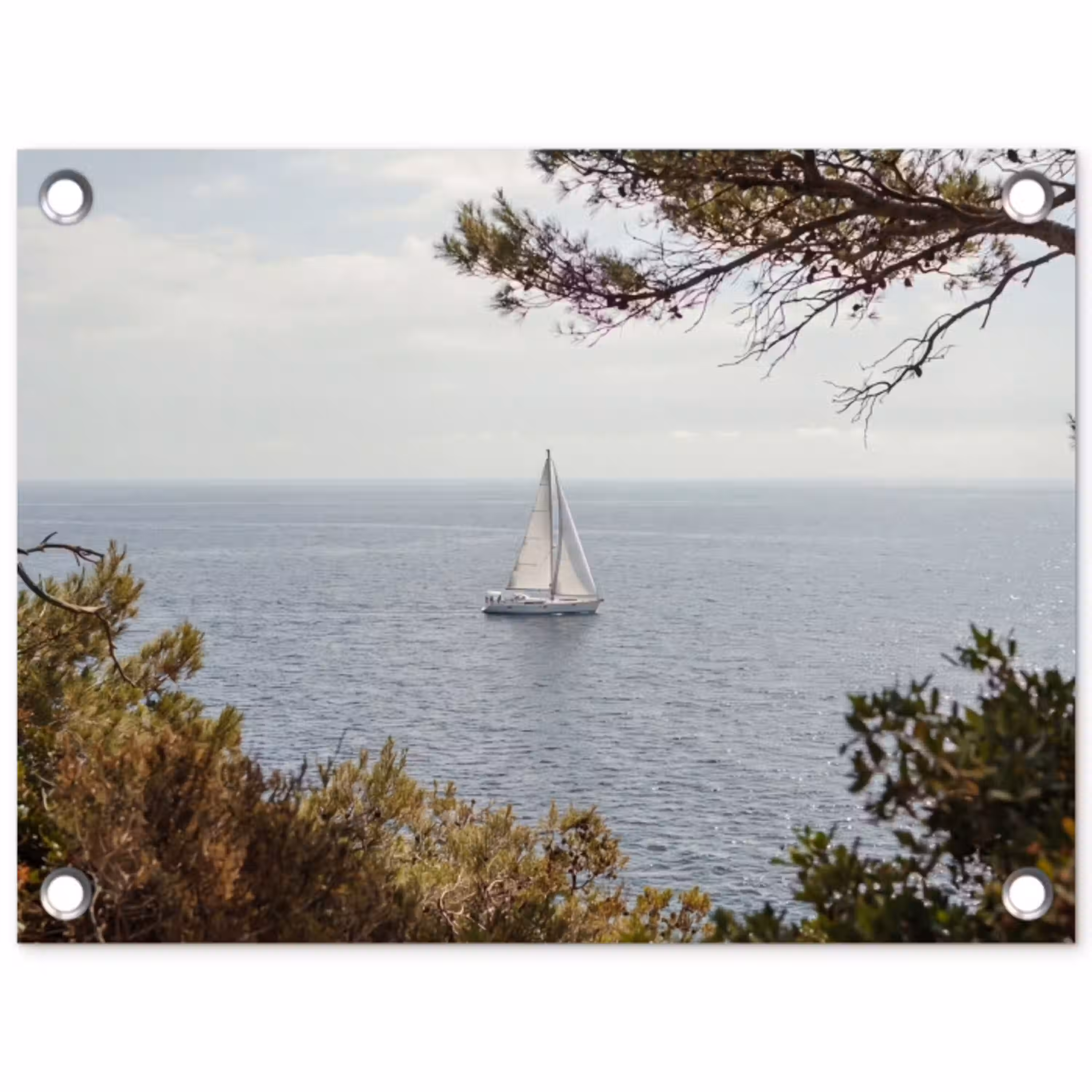 Zeilboot - bomen - water tuinposter los doek klein -3d
