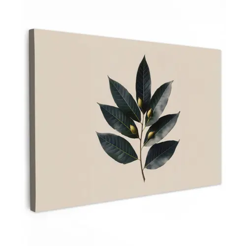 Laurierbladeren - Bloemknoppen - subtiel canvas 2cm klein -z3d