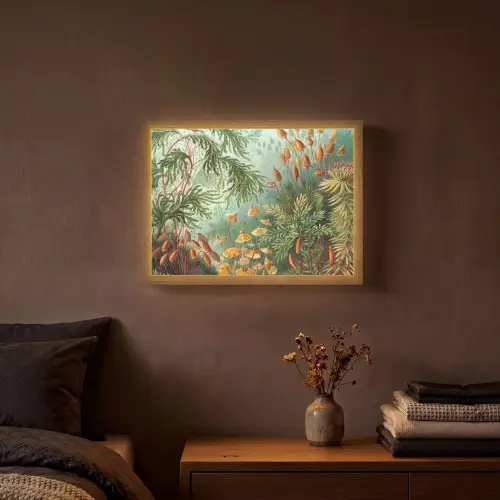 Oude meesters - Kunst - Muscinae - Haeckel Light Box met batterij (Wandlamp) middel -sfeer4