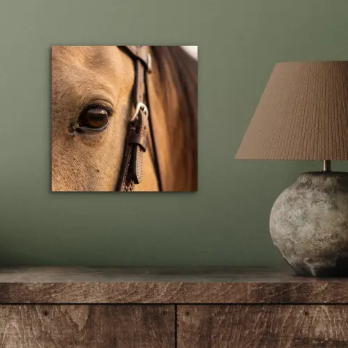 Paard - Oog - Bruin aluminium wit klein -sfeer2