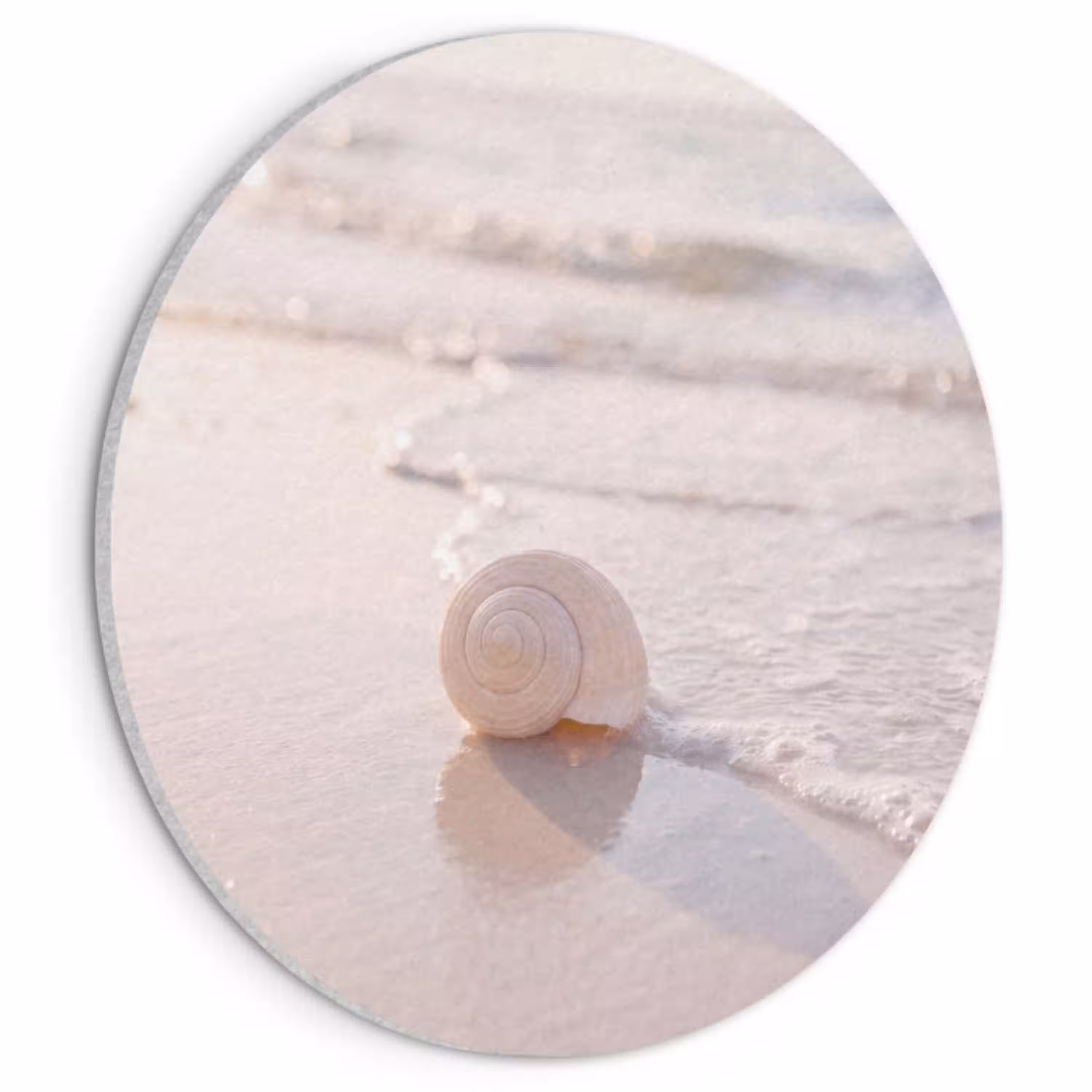 Zeeschelp - Strand - Zee - Natuur - Beige Akoestische PET Vilt - Rond klein -3d