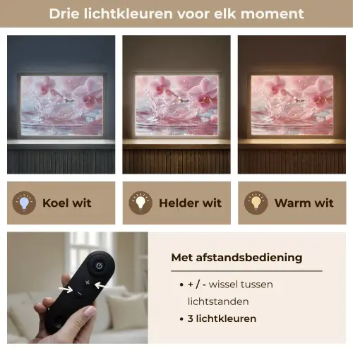 Abstract - Modern - Water - Orchidee Light Box met batterij (Wandlamp) middel -USP_lichtkleurNL