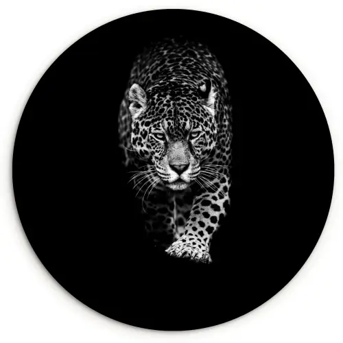 Dieren - Zwart - Luipaard - Wit - Wild Wandcirkel kunststof plaat 5mm dik klein -3d