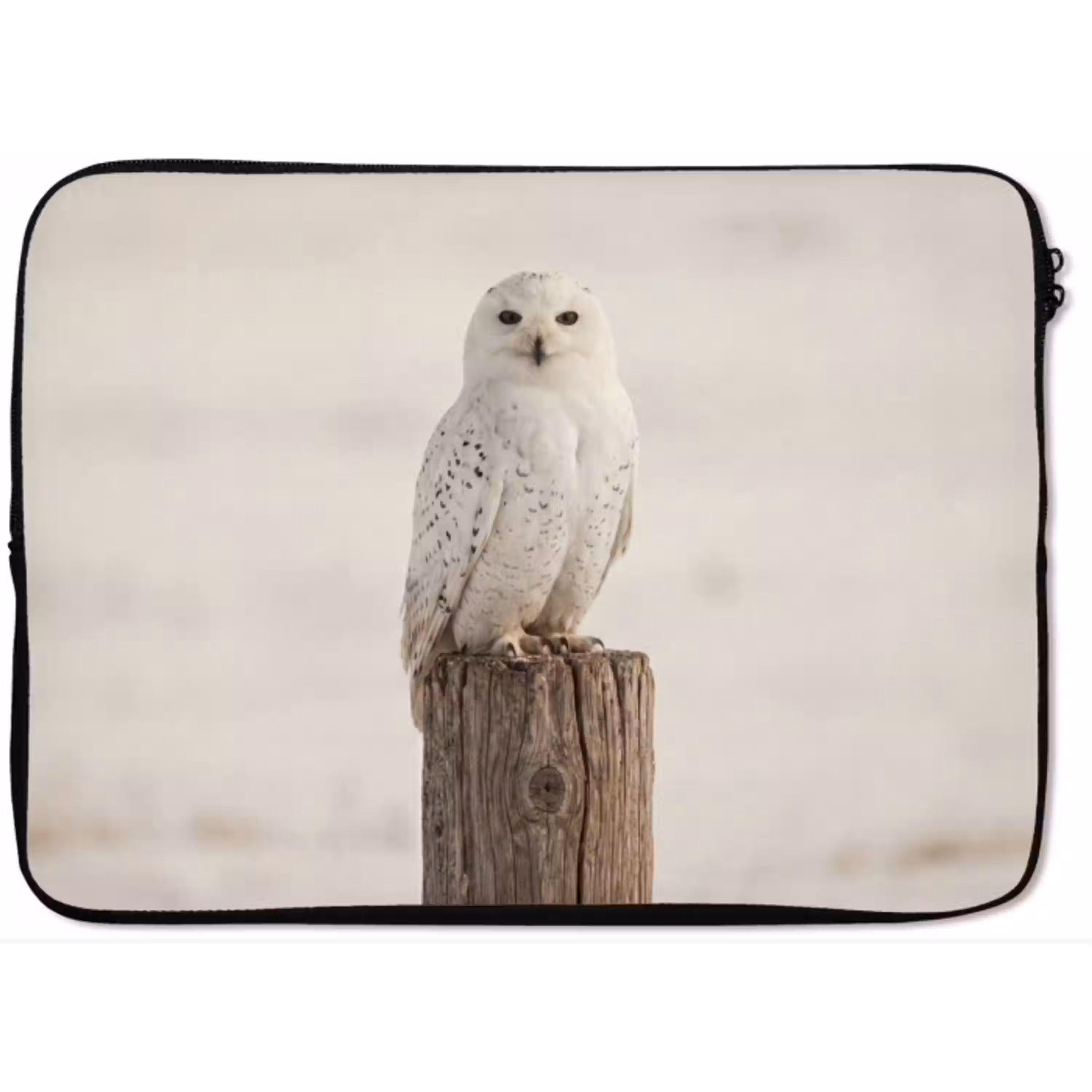 Sneeuwuil - Paal - Winter - Portret - Majestueus laptophoes neopreen klein -zkaufland3dotto