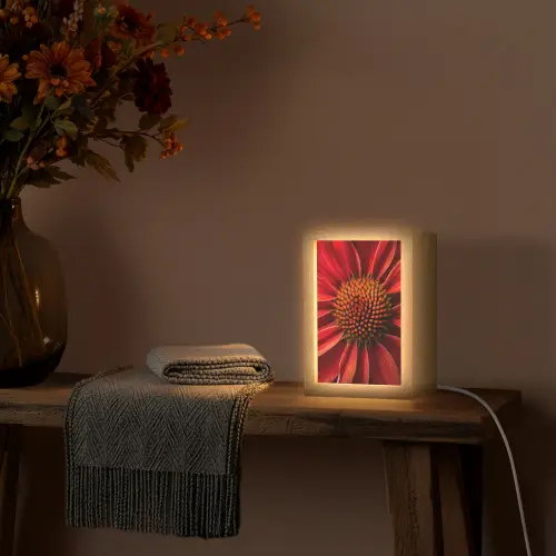 Close up - Bloem- Rood Light Box met kabel (Tafellamp) klein -sfeer4