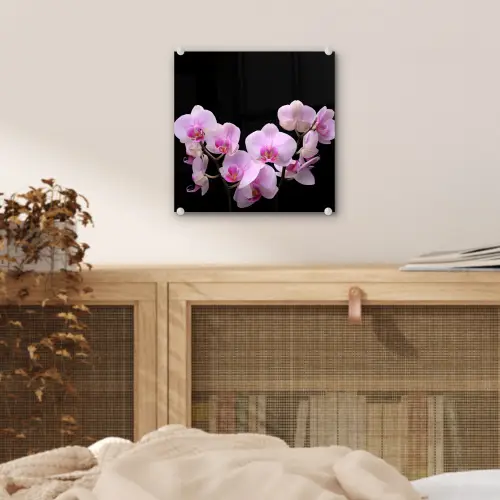 Orchidee - Bloemen - Roze - Flora plexiglas 5mm klein -sfeer4