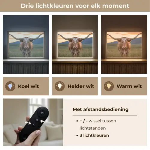 Longhorn - Landschap - Zonsondergang Light Box met batterij (Wandlamp) middel -USP_lichtkleurNL