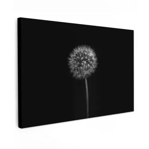 Paardenbloem - Zwart - Bloemen - Botanisch Tuinposter op houten frame 2 cm dik klein -3d