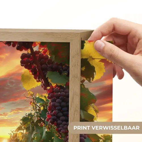 Wijngaard - Druiven - Zonsondergang Light Box met batterij (Wandlamp) middel -USP_websiteprintNL