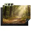 Zonlicht - Bospad - Bomen Inductie beschemer met haakjes klein -3d