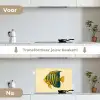 Felgeel - Vis - Strepen - Vinnen keuken achterwand spatscherm klein -voor_na_NL