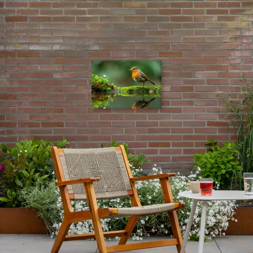 Roodborstje bij het Water Tuinposter op houten frame 2 cm dik klein -sfeer3