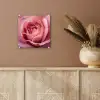 Roze - Roos - Romantisch plexiglas 5mm klein -sfeer5