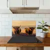 Schotse hooglanders - Heide - Landschap - Dieren keuken achterwand spatscherm klein -sfeer2