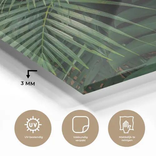 Planten - Jungle - Bladeren - Tropisch plexiglas 5mm klein -sfeer2