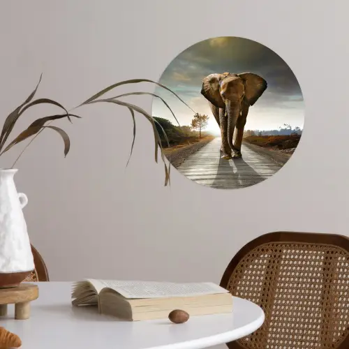 Olifant - Weg - Dieren - Zonsondergang - Landschap Wandcirkel behangsticker klein -sfeer3