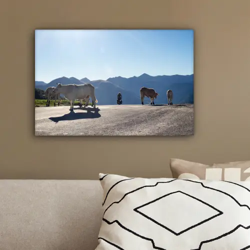 Schotse hooglander - Licht - Berg - Natuur canvas 2cm klein -sfeer3