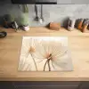 Dans van de Zaden Inductie beschermer vinyl 3mm middel -sfeer5