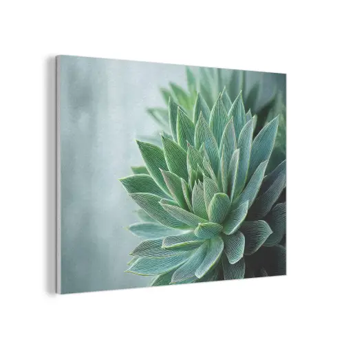 Vetplant - Bladeren - Groen - Wazig PET vilt klein -3d
