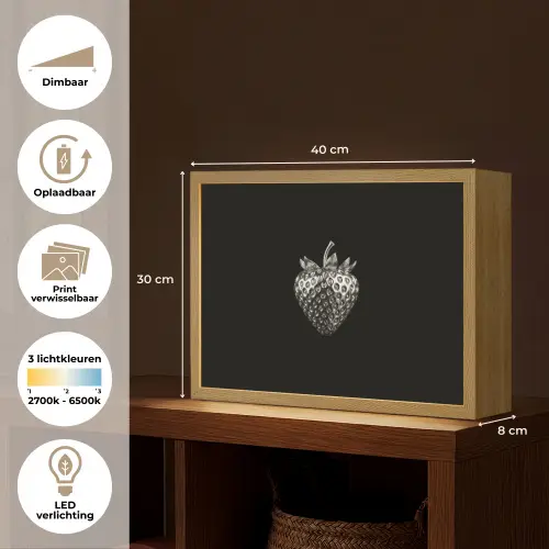Aardbei - Zaadstructuur - Realistisch Light Box met batterij (Wandlamp) middel -USP_websiteoverzichtNL