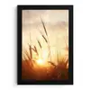 Riet - Gras - Zonsondergang - Natuur - Horizon fotolijst zwart zonder passe partout klein -3d
